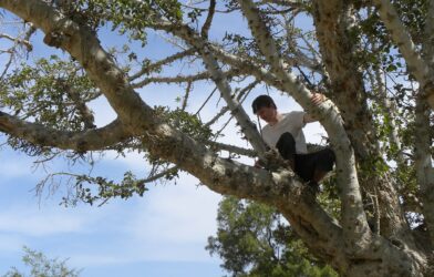 Aujourd’hui le salut (Luc 19,1-10)