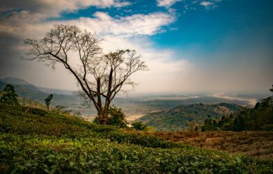 Tu seras avec moi (Luc 23,35-43)