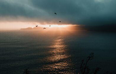 Résilience, espérance (Luc 21,5-19)