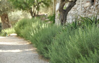 Guerre et paix (Ésaïe 2,1-5)