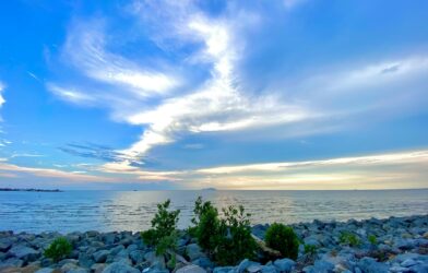 Le Royaume des cieux (Matthieu 4,12-25)