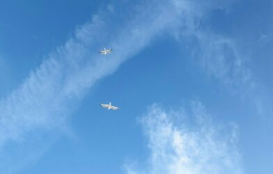 Témoignage de Jean (Jean 1,29-34)