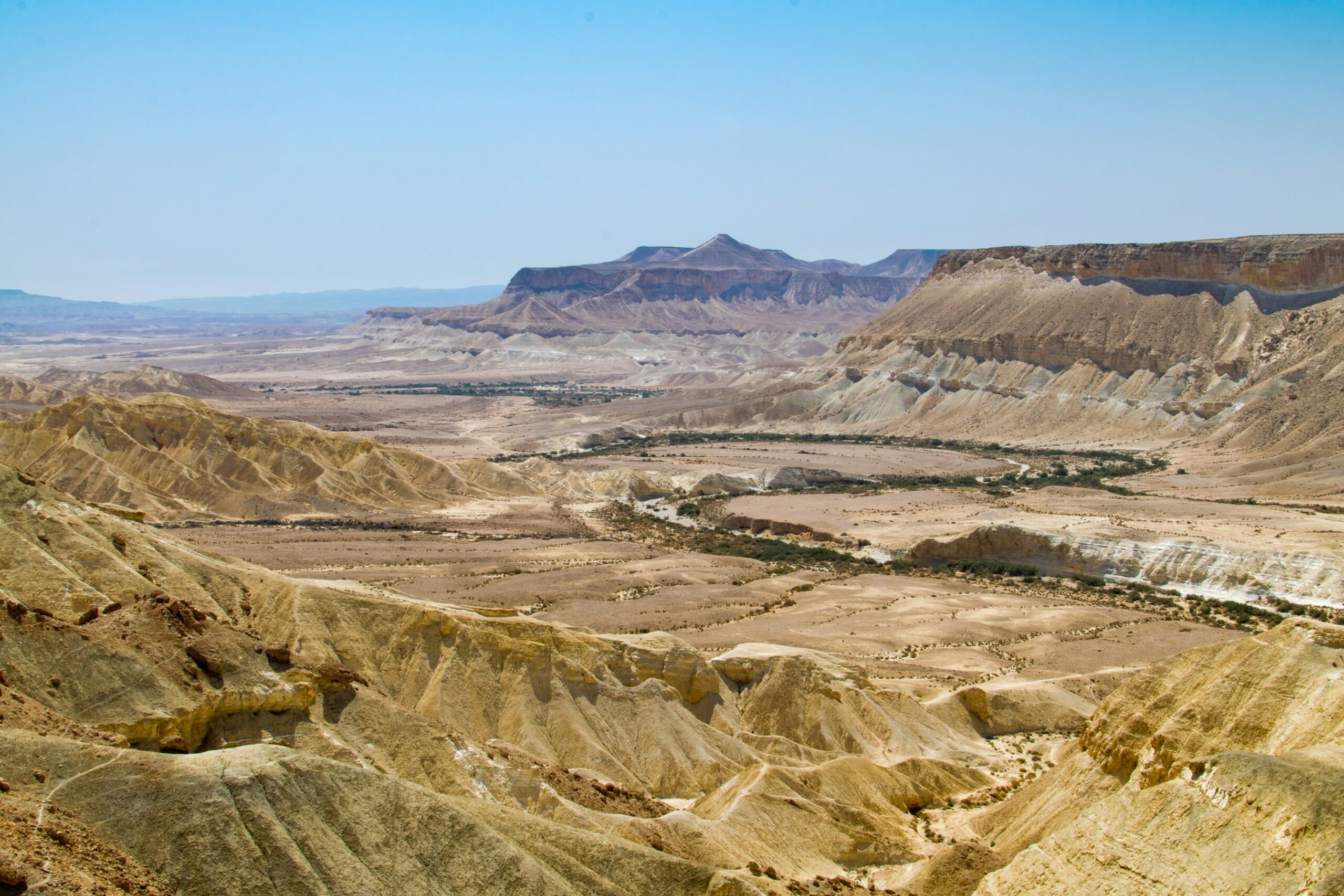 Quarante jours au désert (Matthieu 4,1-11 et Deutéronome 8,1-10)