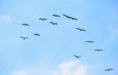 Sur la terre comme au ciel (Matthieu 6,10)