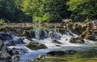 L&rsquo;eau vive (Ézékiel 47,1-12)